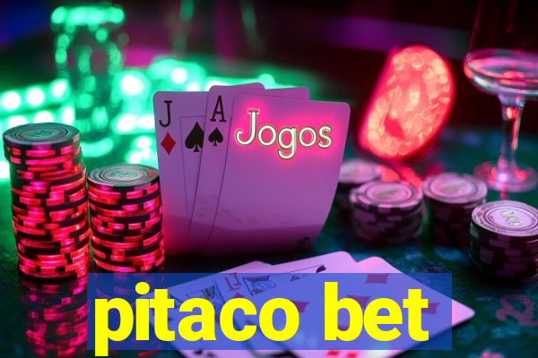 pitaco bet